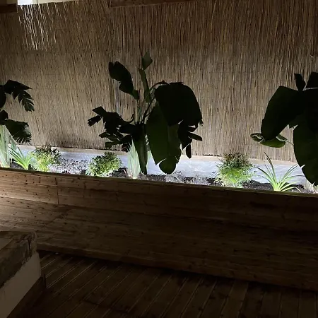 Summer Me - Gardenhouse Downtown